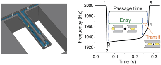 Biomolecular Detection image