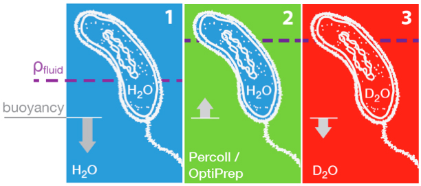 Biomolecular Detection image